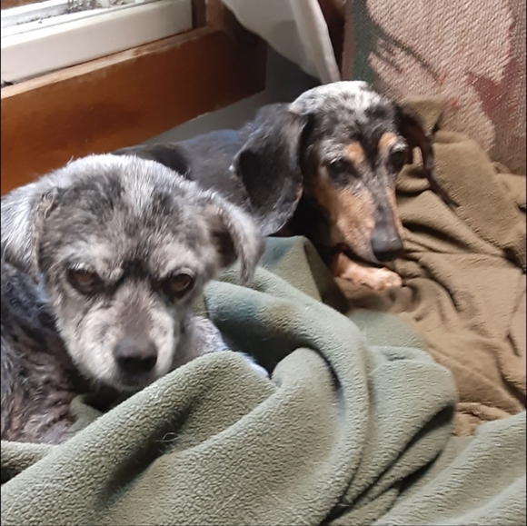 Make an offer!! Be Happy with your purchase! - Picture 7 of 8